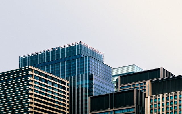 别再下到英文版了，WPS Office中文版下载我踩过的坑都替你避开了